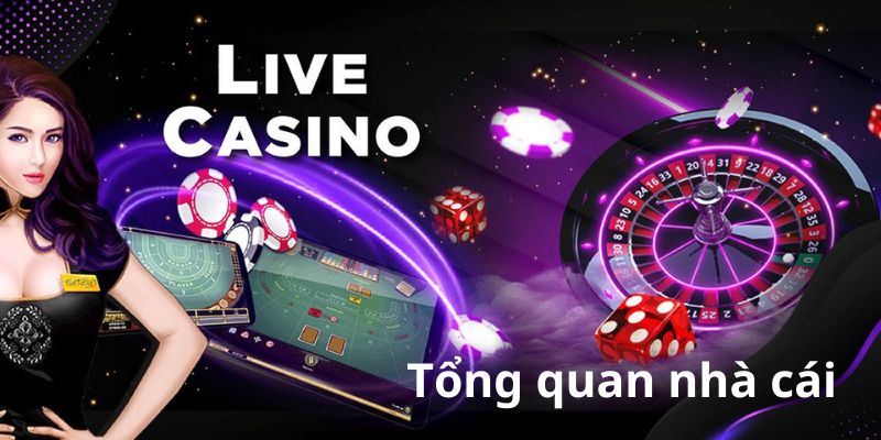 Tổng quan nhà cái Lucky88 Tổng quan nhà cái Lucky88